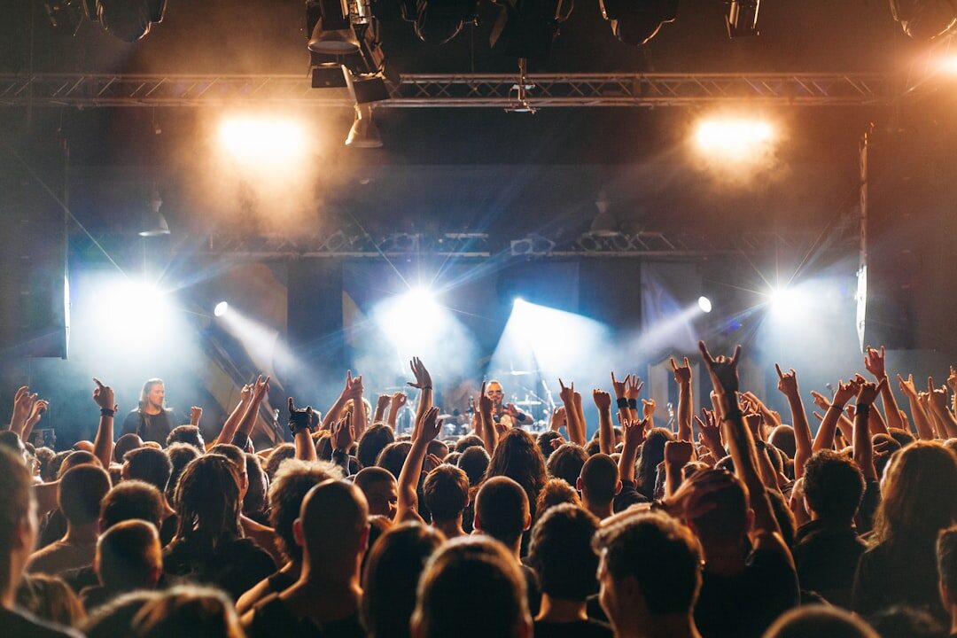 crowd at concert